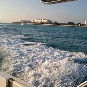 Meet your Posher, Patrick